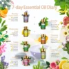 Coffret Cadeau d'Huiles Essentielles Pures 15pcs