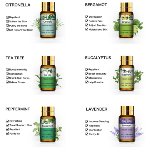 Ensemble d'Huiles Essentielles d'Aromathérapie 12 pcs